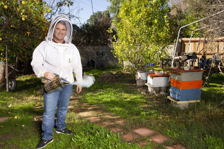 Apricoty proves fruitful for Altadena man