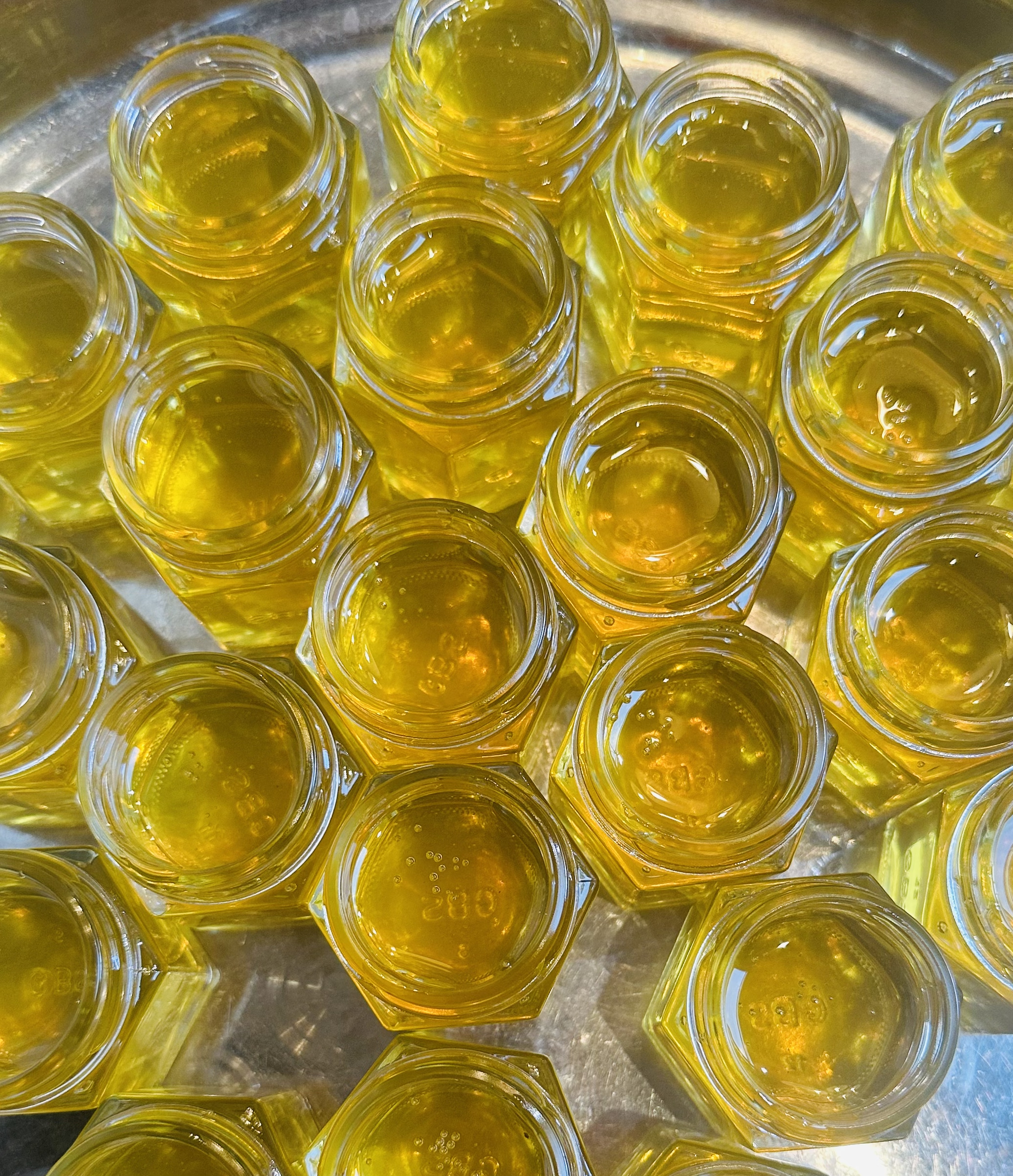 Party Favor Size Honey - Image 7