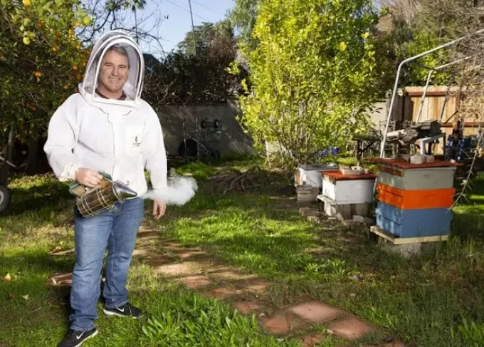Apricoty founder and beekeeper Kevork Douzadjian using a bee smoker near his beehives